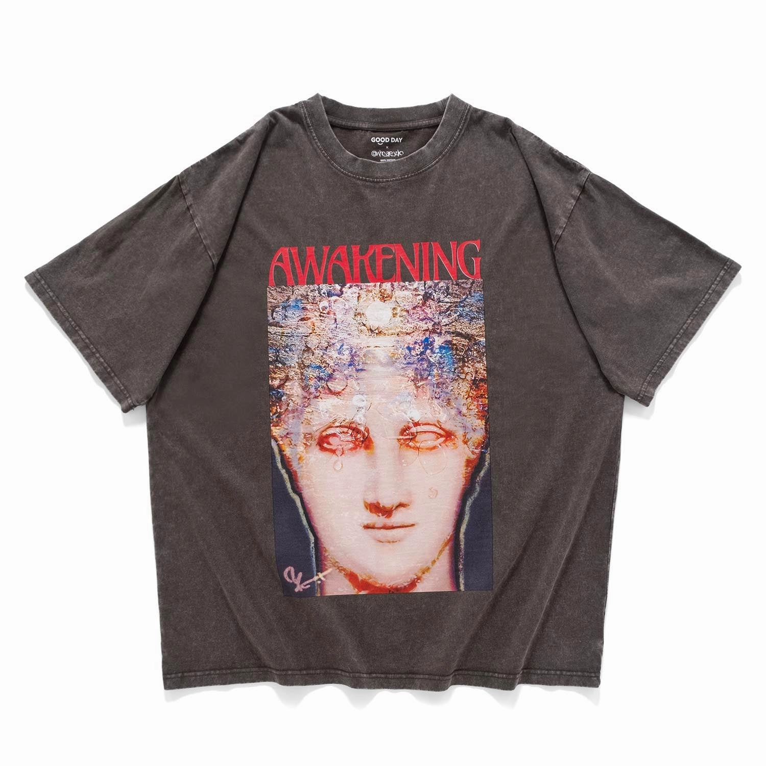 (EX579) AWAKENING Graphic Washed Tee Simple Yet Elegant Relaxed fit wear