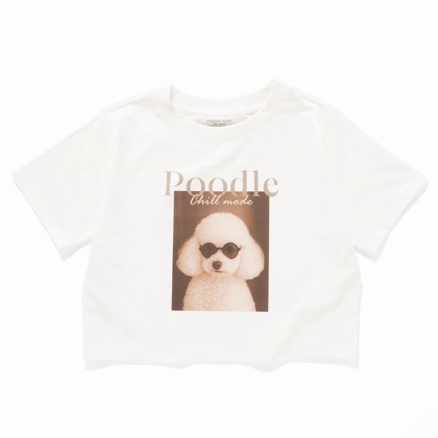 (ZT1743) Poodle Photoprint Cropped Tee Versatile Trend