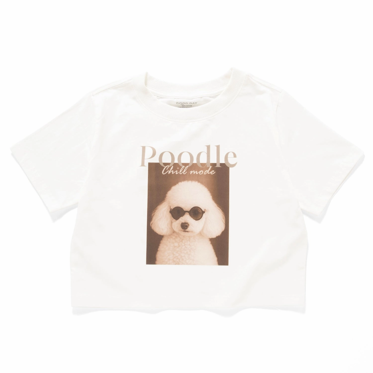 (ZT1743) Poodle Photoprint Cropped Tee Chic Style Trend