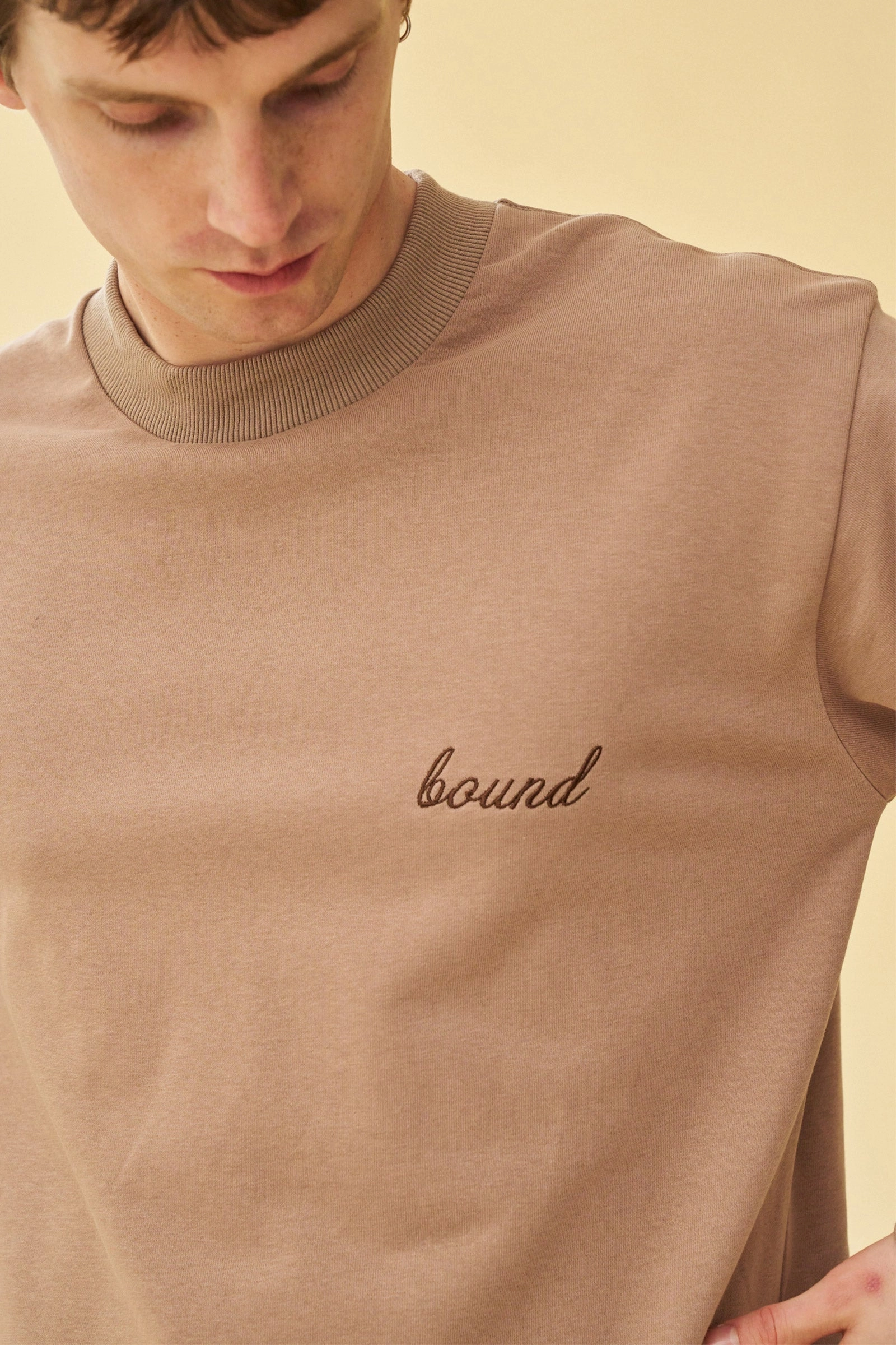 AntiBacterialTreatment bound 'Script' Longsleeve Heavy Tee - Chestnut