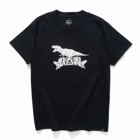 (EX257) Graphic Print Tee Street Trend Look V neck elegance