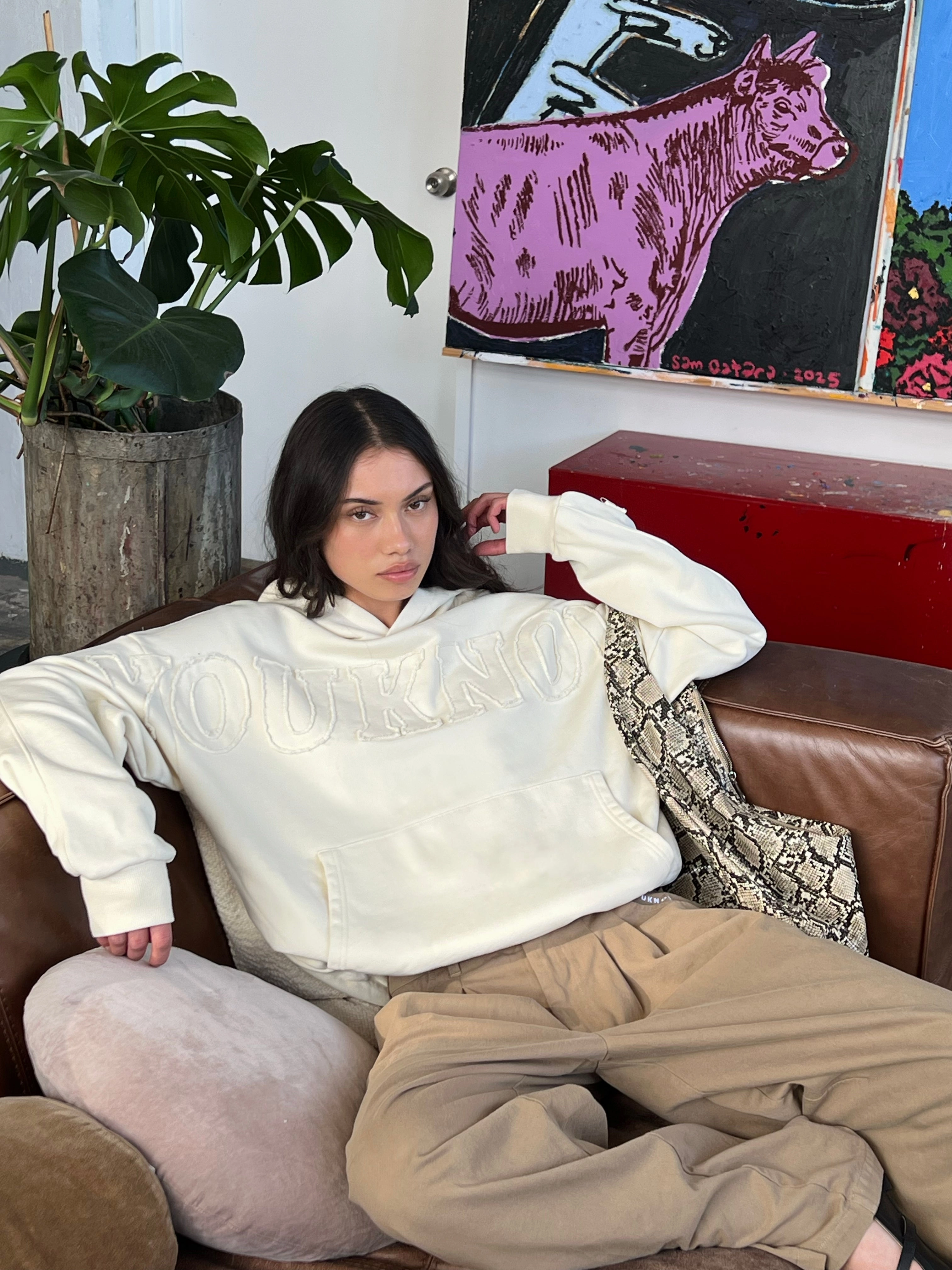 Hidden Pocket Compartments Layered Collar Distressed Applique Hoodie | Washed Cream