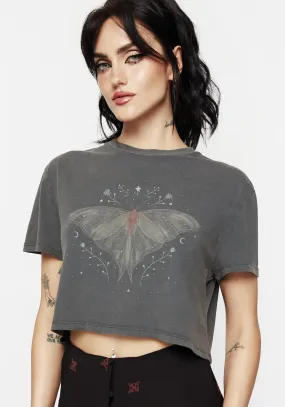 Ribbed Neckline Drift Cotton-Blend Jersey Cropped T-Shirt