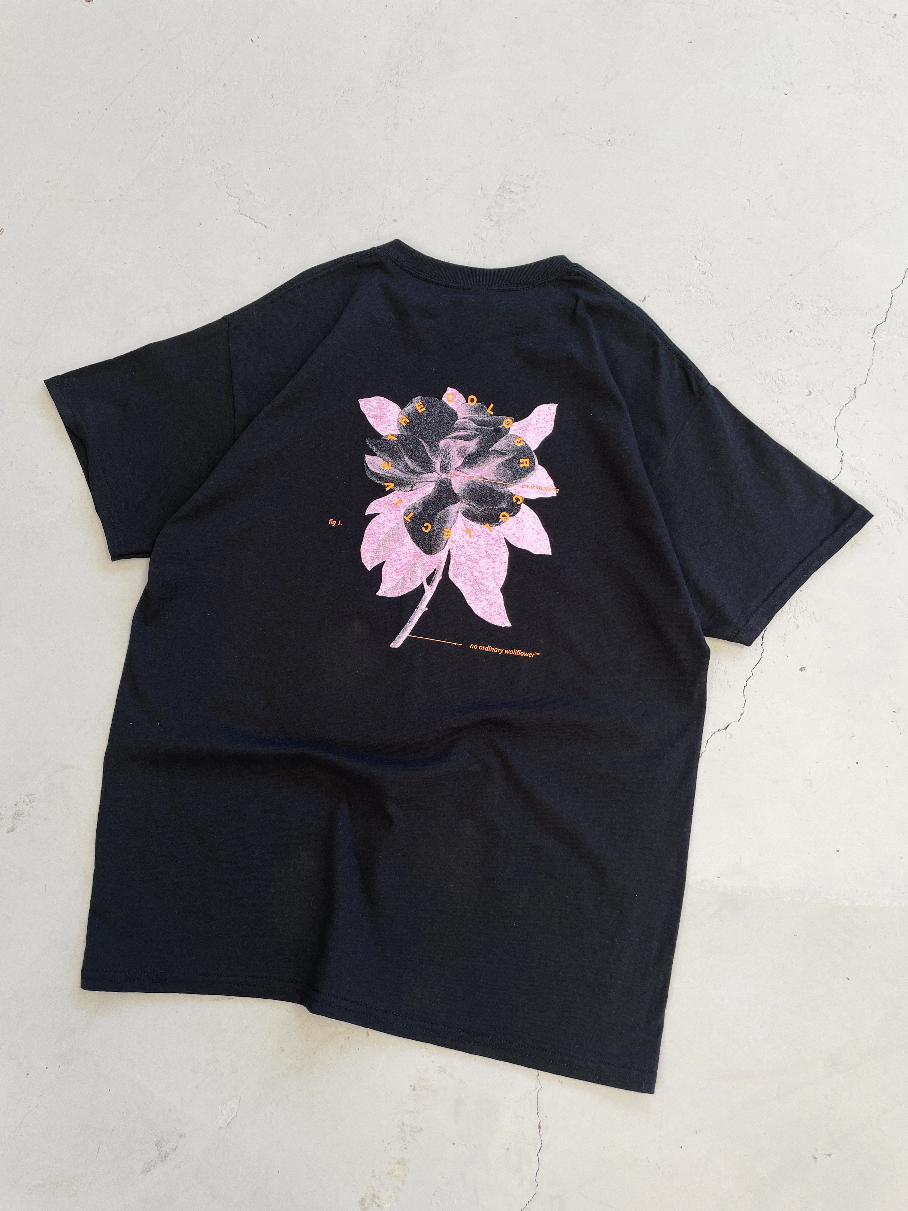 Colour Collective 'Science' Tee - Black Silk combination Durable Knitwear