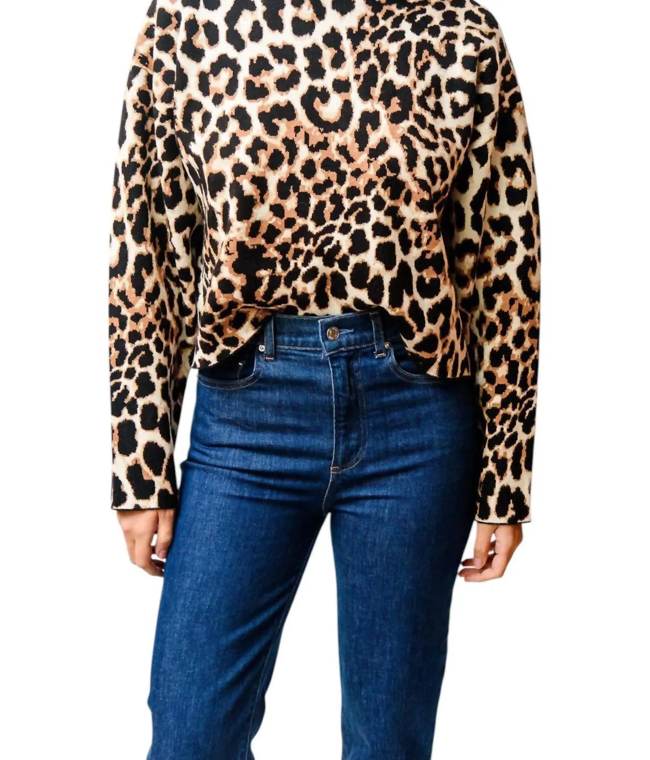 Warm And Comfortable Comfy Look Leopard Sweatshirt In Brown/black