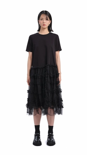Side Pleats Fashionable Comfort Wear Mesh Layered Dress