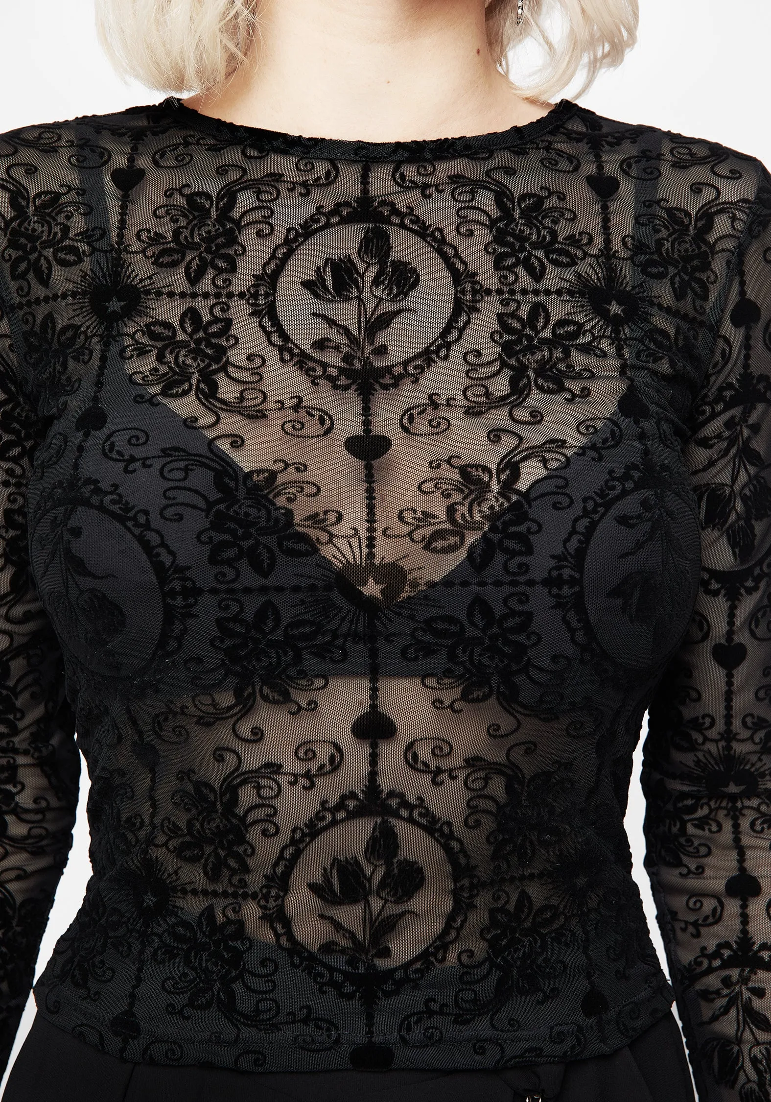 Velvet Generic brand Cameo Floral Flocked Mesh Long Sleeve Top