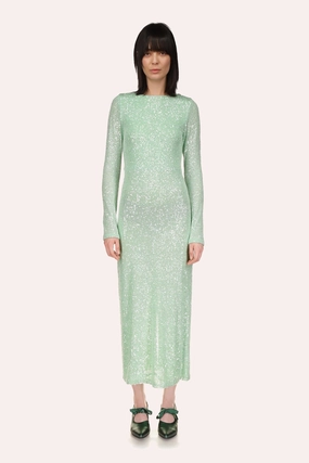 Unlined Look Country View Sequin Mesh Dress