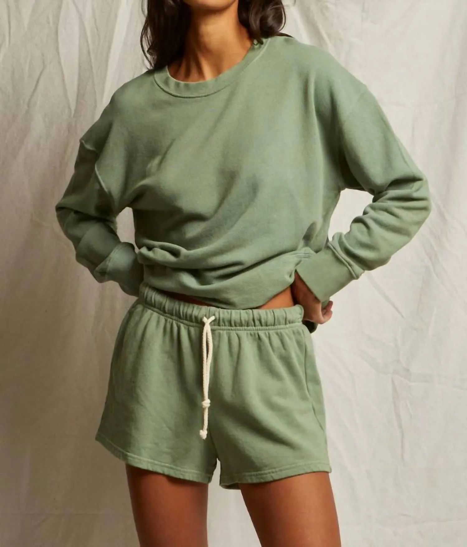 Chilly Day Essentials Tyler French Terry Pullover In Aloe